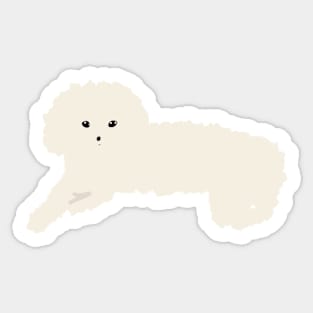 Maltipoo Dog Sticker